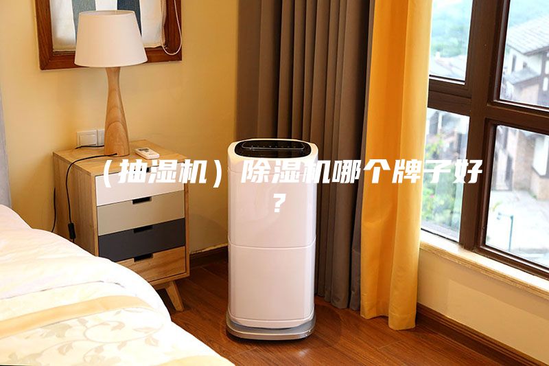 (抽濕機(jī))除濕機(jī)哪個牌子好?