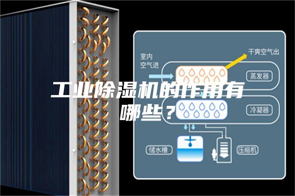 工業除濕機的作用有哪些?