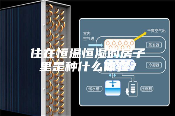 住在恒溫恒濕的房子里是種什么體驗?