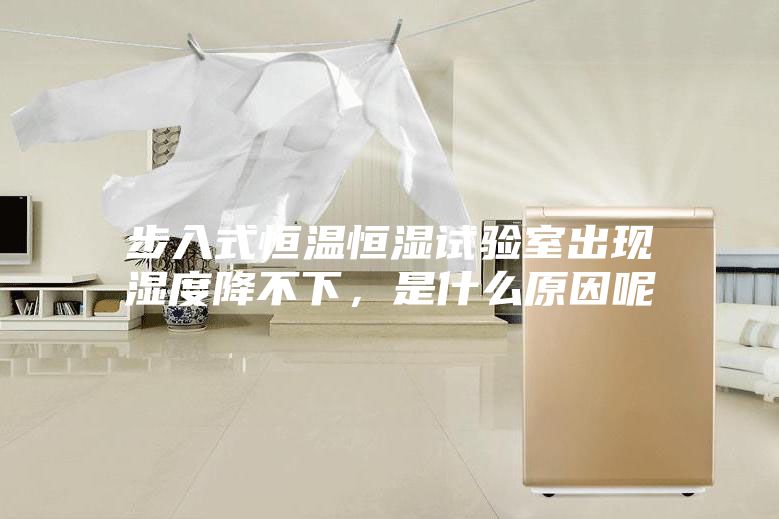 步入式恒溫恒濕試驗室出現(xiàn)濕度降不下，是什么原因呢