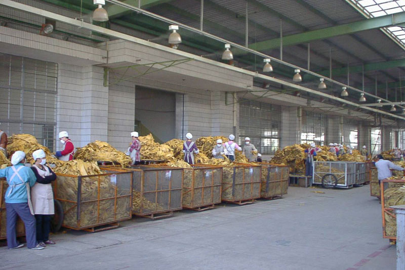 1521683010608065.jpg 煙草輪轉(zhuǎn)區(qū).jpg