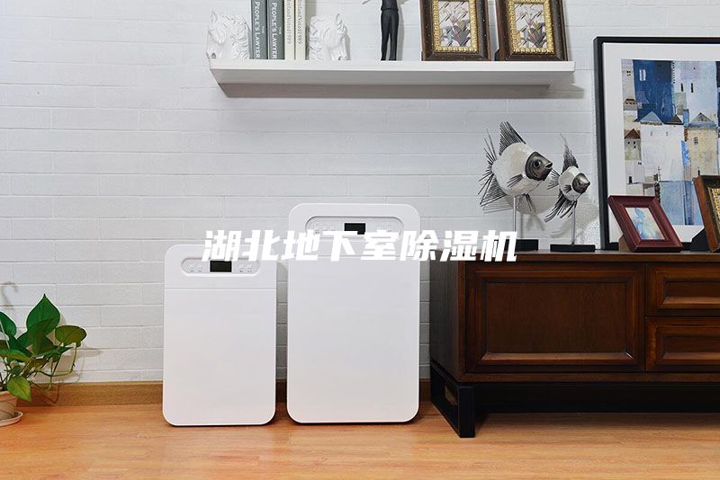 湖北地下室除濕機