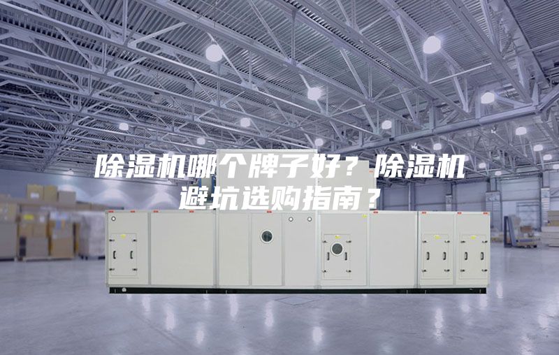 除濕機(jī)哪個牌子好?除濕機(jī)避坑選購指南?