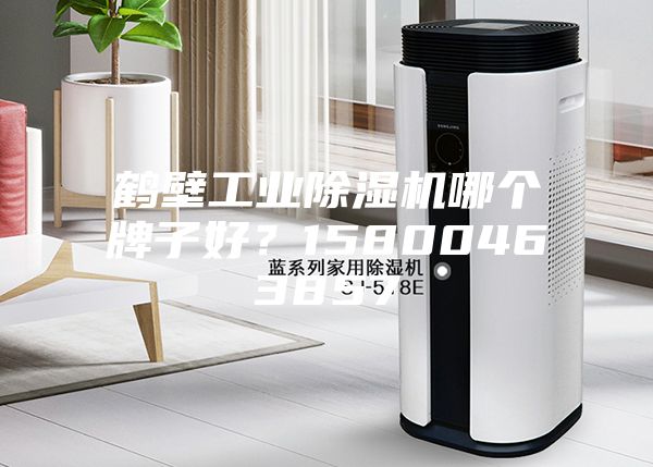 鶴壁工業除濕機哪個牌子好?15800463857