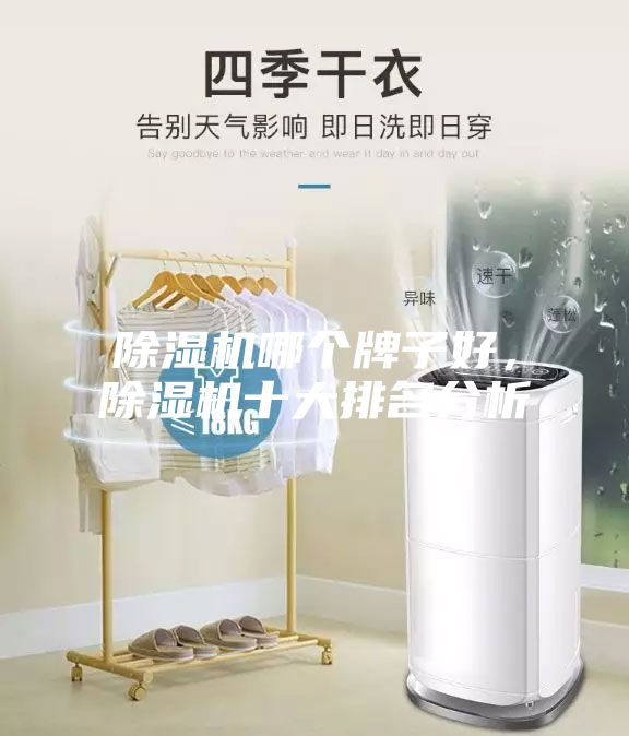 除濕機(jī)哪個(gè)牌子好,除濕機(jī)十大排名分析