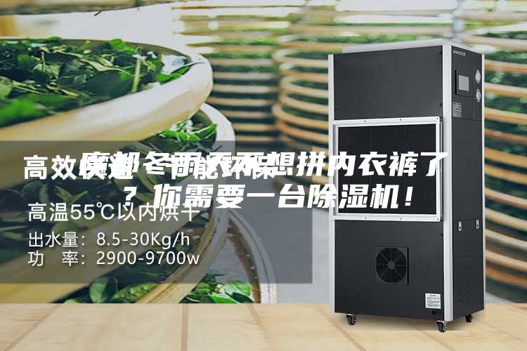 魔都冬雨天不想拼內衣褲了?你需要一臺除濕機!