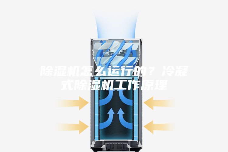 除濕機(jī)怎么運(yùn)行的?冷凝式除濕機(jī)工作原理