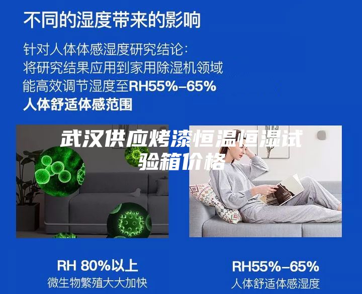 武漢供應(yīng)烤漆恒溫恒濕試驗(yàn)箱價格