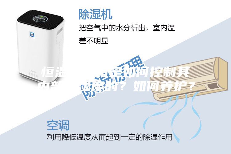 恒溫恒濕箱是如何控制其內部溫濕度的?如何養護?