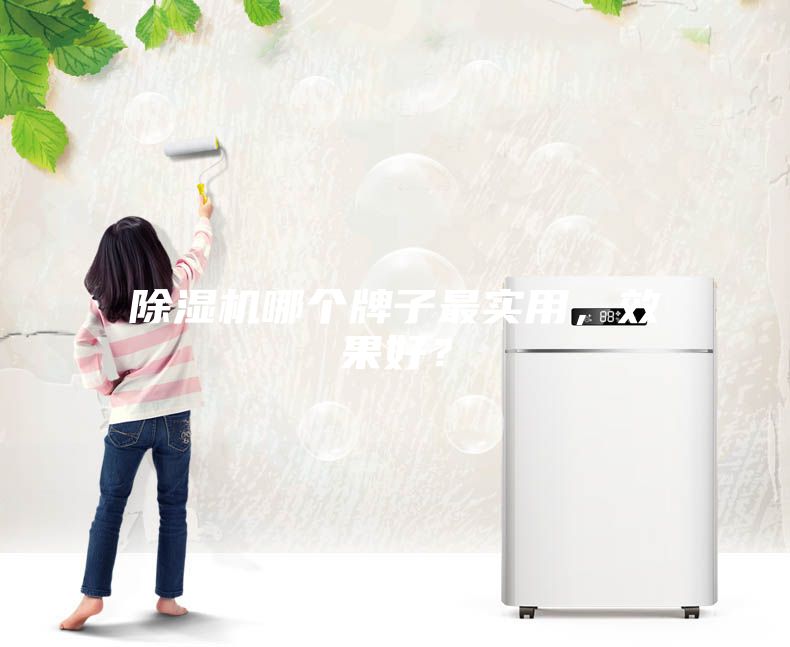 除濕機(jī)哪個(gè)牌子最實(shí)用,效果好?