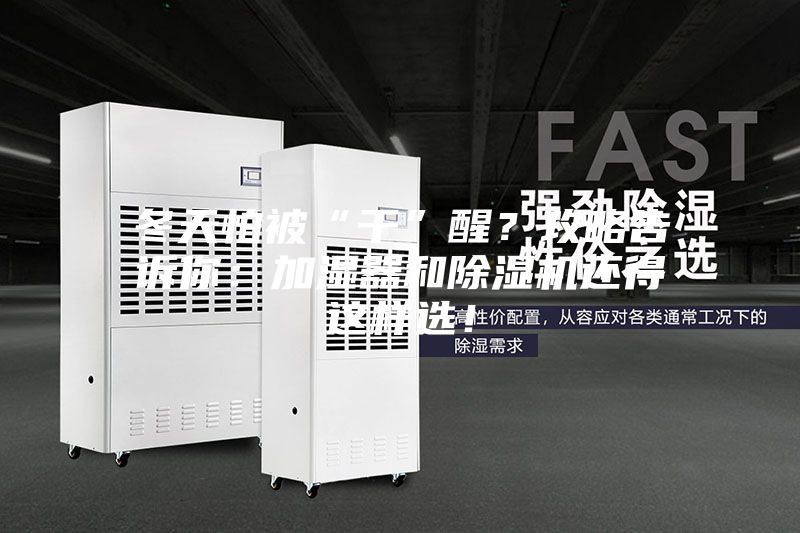 冬天怕被“干”醒？攻略告訴你：加濕器和除濕機還得這樣選！