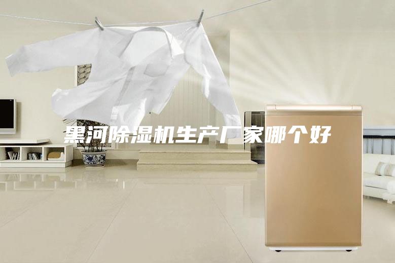 黑河除濕機(jī)生產(chǎn)廠家哪個(gè)好