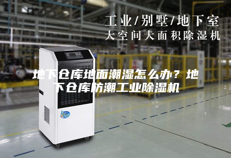 地下倉(cāng)庫(kù)地面潮濕怎么辦?地下倉(cāng)庫(kù)防潮工業(yè)除濕機(jī)