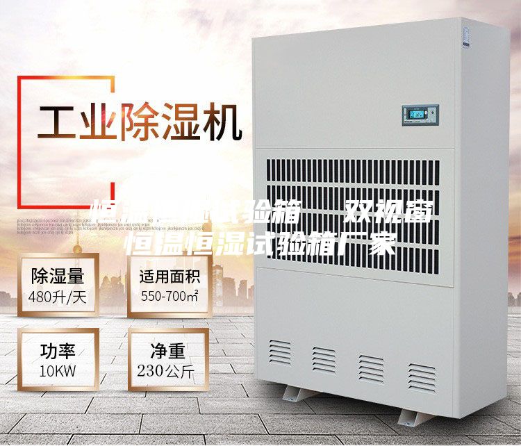 恒溫恒濕試驗箱 雙視窗恒溫恒濕試驗箱廠家