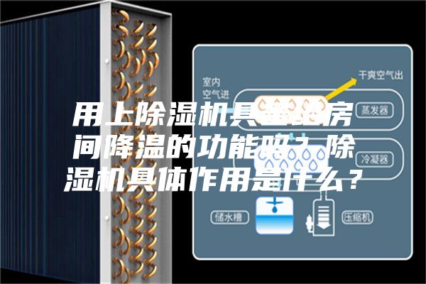 用上除濕機具備給房間降溫的功能嗎？除濕機具體作用是什么？