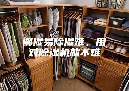 潮濕易除濕難，用對除濕機就不難