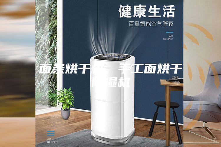 面條烘干機，手工面烘干除濕機