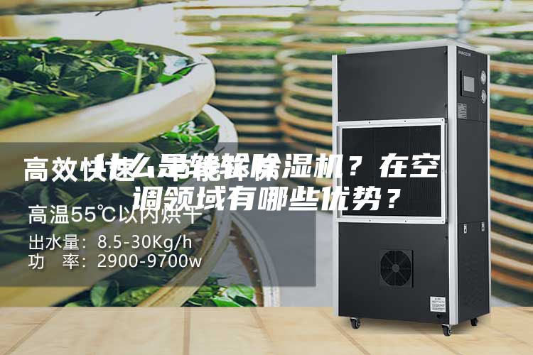 什么是轉(zhuǎn)輪除濕機?在空調(diào)領(lǐng)域有哪些優(yōu)勢?