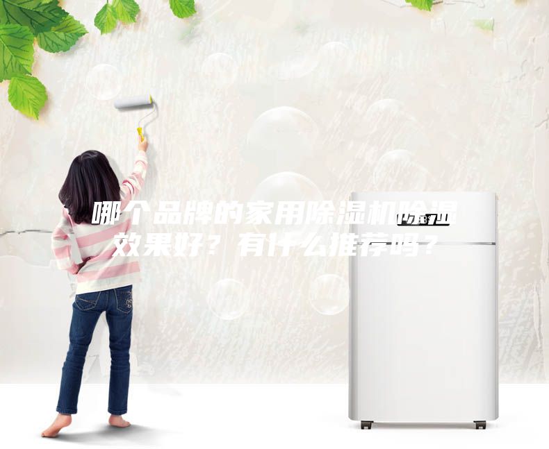哪個品牌的家用除濕機除濕效果好？有什么推薦嗎？