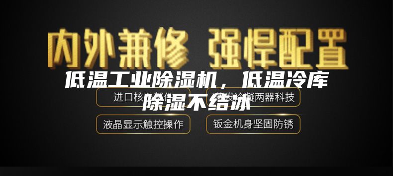 低溫工業(yè)除濕機(jī),低溫冷庫除濕不結(jié)冰