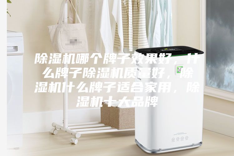 除濕機哪個牌子效果好，什么牌子除濕機質量好，除濕機什么牌子適合家用，除濕機十大品牌