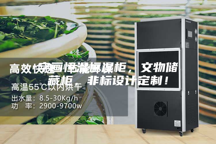 字畫恒溫恒濕柜，文物儲藏柜，非標設計定制！