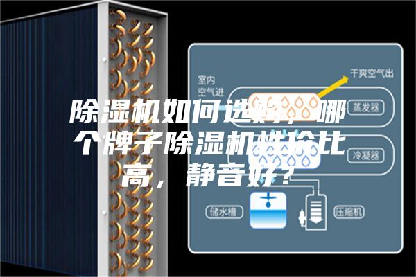 除濕機如何選購,哪個牌子除濕機性價比高,靜音好?
