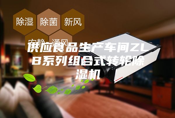 供應(yīng)食品生產(chǎn)車間ZLB系列組合式轉(zhuǎn)輪除濕機