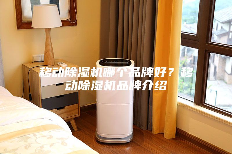 移動除濕機哪個品牌好?移動除濕機品牌介紹