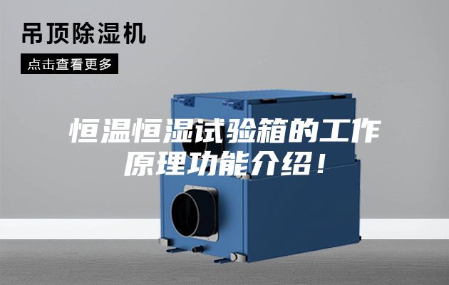 恒溫恒濕試驗(yàn)箱的工作原理功能介紹!