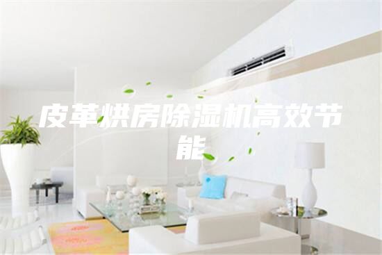 皮革烘房除濕機高效節能