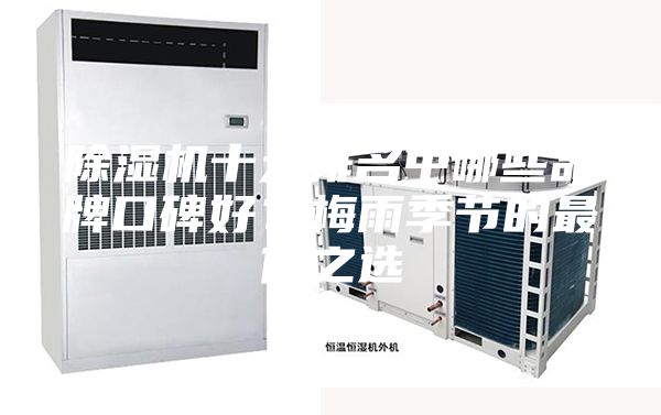 除濕機十大排名中哪些品牌口碑好?梅雨季節的最佳之選