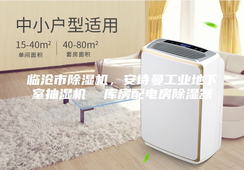 臨滄市除濕機,安詩曼工業地下室抽濕機 庫房配電房除濕器