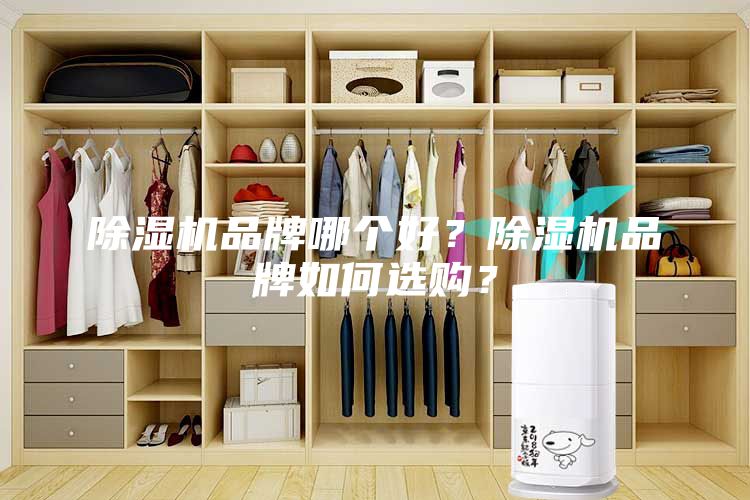 除濕機品牌哪個好？除濕機品牌如何選購？