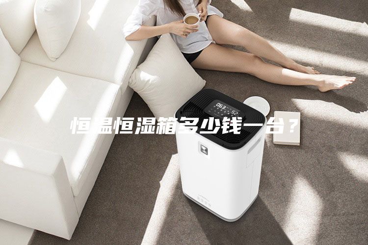 恒溫恒濕箱多少錢一臺?