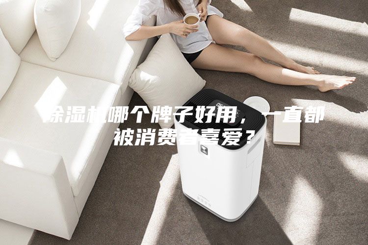 除濕機哪個牌子好用，一直都被消費者喜愛？