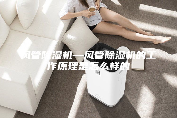 風管除濕機—風管除濕機的工作原理是怎么樣的