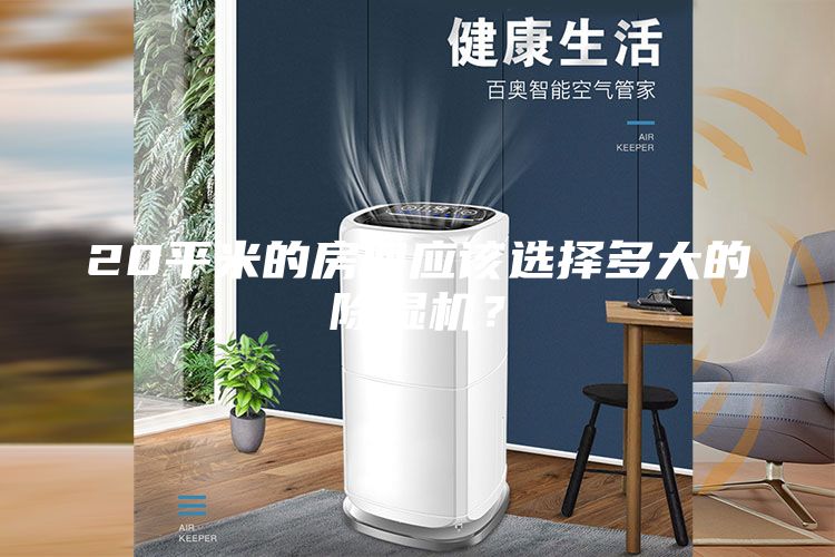 20平米的房間應該選擇多大的除濕機？