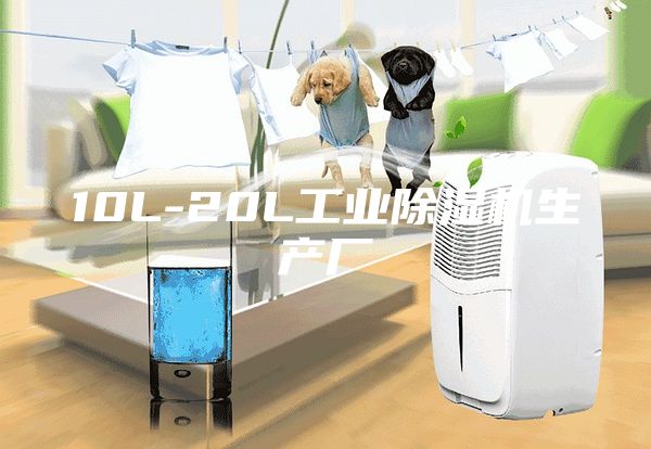 10L-20L工業(yè)除濕機(jī)生產(chǎn)廠