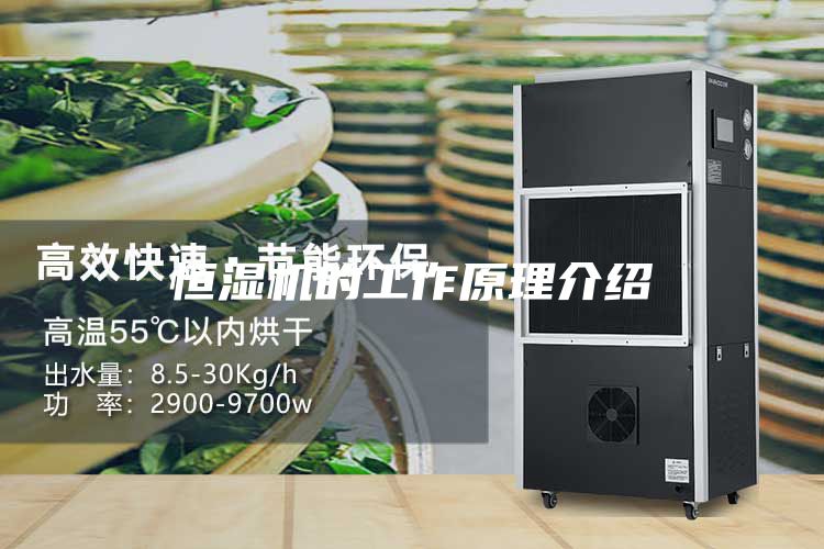 恒濕機的工作原理介紹