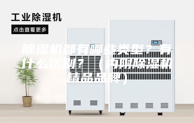 除濕機都有哪些類型？有什么區(qū)別？（內附除濕機精品品牌）