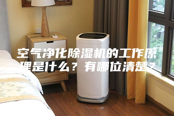 空氣凈化除濕機(jī)的工作原理是什么？有哪位清楚？