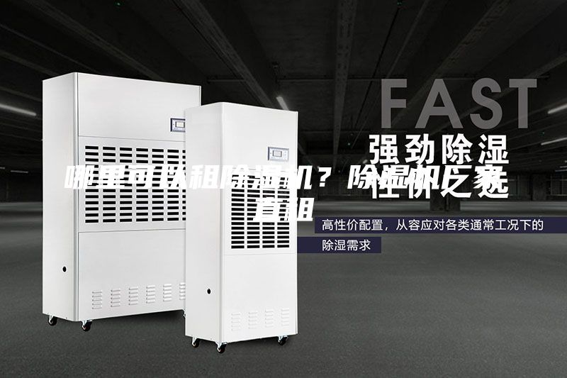 哪里可以租除濕機(jī)？除濕機(jī)廠家直租