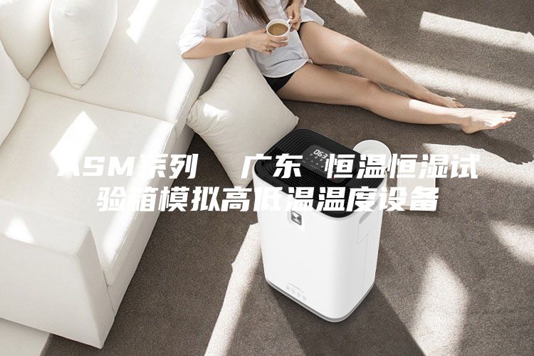 ASM系列  廣東 恒溫恒濕試驗箱模擬高低溫溫度設(shè)備