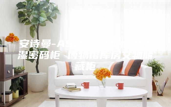 安詩曼-ASM 文物恒溫恒濕密碼柜 博物館庫房文物儲藏柜