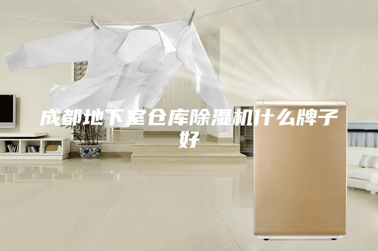 成都地下室倉庫除濕機(jī)什么牌子好