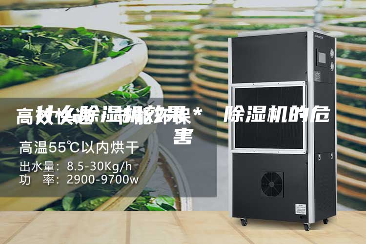 什么除濕機(jī)效果＊ 除濕機(jī)的危害
