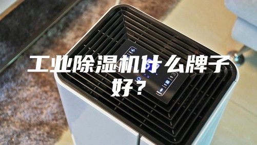工業(yè)除濕機(jī)什么牌子好？