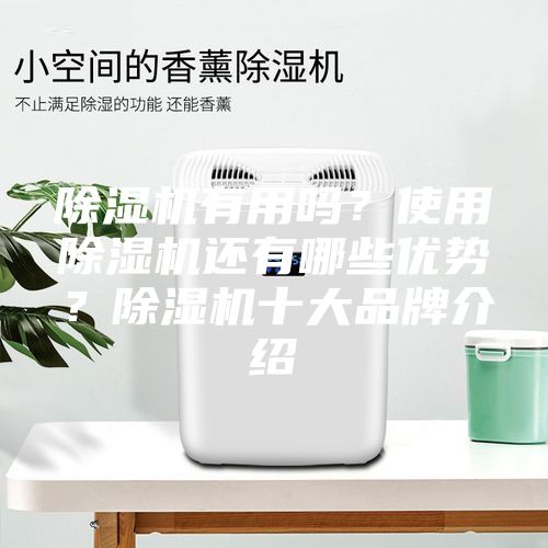 除濕機有用嗎？使用除濕機還有哪些優勢？除濕機十大品牌介紹
