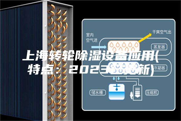 上海轉(zhuǎn)輪除濕設(shè)備應(yīng)用(特點(diǎn)：2023已更新)